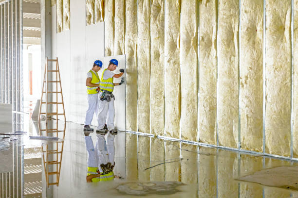 Best Insulation Installation Services in Aspen Hill, MD